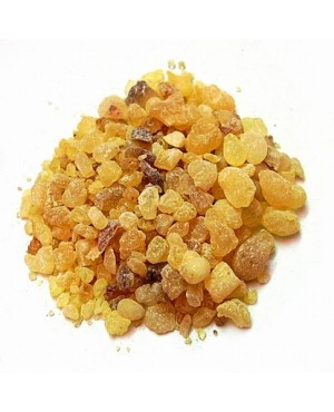 Boswellia spp.